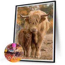 Load image into Gallery viewer, Diamond Painting - Full Round - scottish highland cattle (30*40CM)
