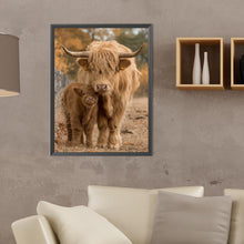 Load image into Gallery viewer, Diamond Painting - Full Round - scottish highland cattle (30*40CM)