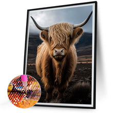 Load image into Gallery viewer, Diamond Painting - Full Round - scottish highland cattle (30*40CM)