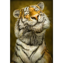 Load image into Gallery viewer, Diamond Painting - Full Square - proud tiger (50*70CM)
