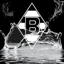 Load image into Gallery viewer, Diamond Painting - Full Round - Monchengladbach logo (40*40CM)