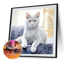 Load image into Gallery viewer, Diamond Painting - Full Round - cat (35*35CM)