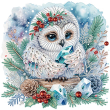 Load image into Gallery viewer, Diamond Painting - Partial Special Shaped - winter owl (30*30CM)
