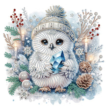 Load image into Gallery viewer, Diamond Painting - Partial Special Shaped - winter owl (30*30CM)