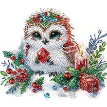 Load image into Gallery viewer, Diamond Painting - Partial Special Shaped - winter owl (30*30CM)