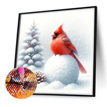 Load image into Gallery viewer, Diamond Painting - Full Round - cardinal on snowball (40*40CM)
