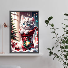 Load image into Gallery viewer, Diamond Painting - Full Round - cat in socks (40*60CM)