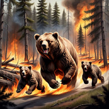 Load image into Gallery viewer, Diamond Painting - Full Round - brown bear (40*40CM)