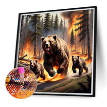 Load image into Gallery viewer, Diamond Painting - Full Round - brown bear (40*40CM)