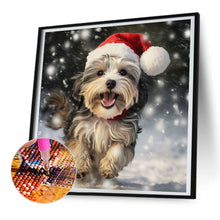 Load image into Gallery viewer, Diamond Painting - Full Round - Christmas puppy (30*30CM)