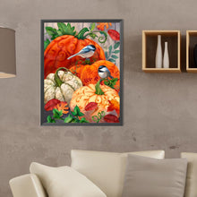 Load image into Gallery viewer, Diamond Painting - Full Round - pumpkin bird (30*40CM)