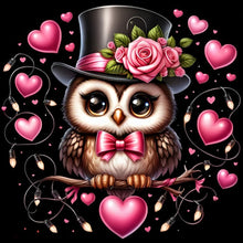 Load image into Gallery viewer, Diamond Painting - Full Round - Valentine love owl (30*30CM)