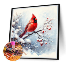 Load image into Gallery viewer, Diamond Painting - Full Round - snow cardinal (30*30CM)