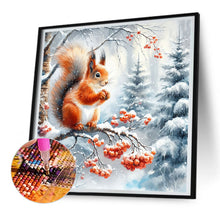 Load image into Gallery viewer, Diamond Painting - Full Round - snow squirrel (30*30CM)
