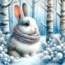 Load image into Gallery viewer, Diamond Painting - Full Round - snow bunny (30*30CM)