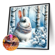 Load image into Gallery viewer, Diamond Painting - Full Round - snow bunny (30*30CM)
