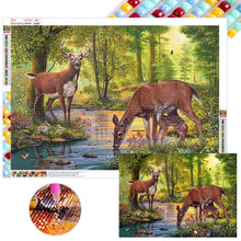 Load image into Gallery viewer, Diamond Painting - Full Square - drinking deer (70*50CM)