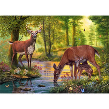 Load image into Gallery viewer, Diamond Painting - Full Square - drinking deer (70*50CM)