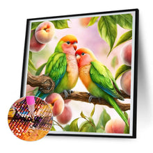 Load image into Gallery viewer, Diamond Painting - Full Round - Parrot (30*30CM)