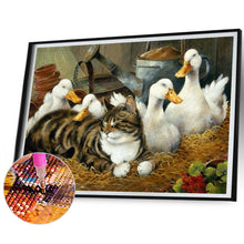 Load image into Gallery viewer, Diamond Painting - Full Round - cat duck (40*30CM)