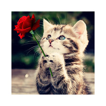 Load image into Gallery viewer, Naughty Kitten Cat Rose 30*30CM(Canvas) Special Shaped Drill Diamond Painting