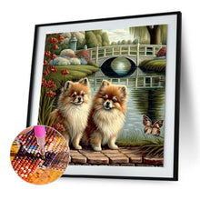 Load image into Gallery viewer, Diamond Painting - Full Round - puppy in the park (30*30CM)