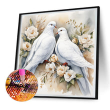 Load image into Gallery viewer, Diamond Painting - Full Round - Pigeon (30*30CM)