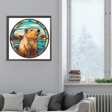 Load image into Gallery viewer, Diamond Painting - Full Round - capibala glass painting (30*30CM)