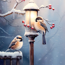 Load image into Gallery viewer, Diamond Painting - Full Round - street light bird (30*30CM)