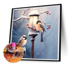 Load image into Gallery viewer, Diamond Painting - Full Round - street light bird (30*30CM)
