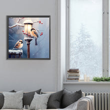 Load image into Gallery viewer, Diamond Painting - Full Round - street light bird (30*30CM)