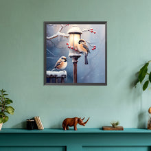 Load image into Gallery viewer, Diamond Painting - Full Round - street light bird (30*30CM)