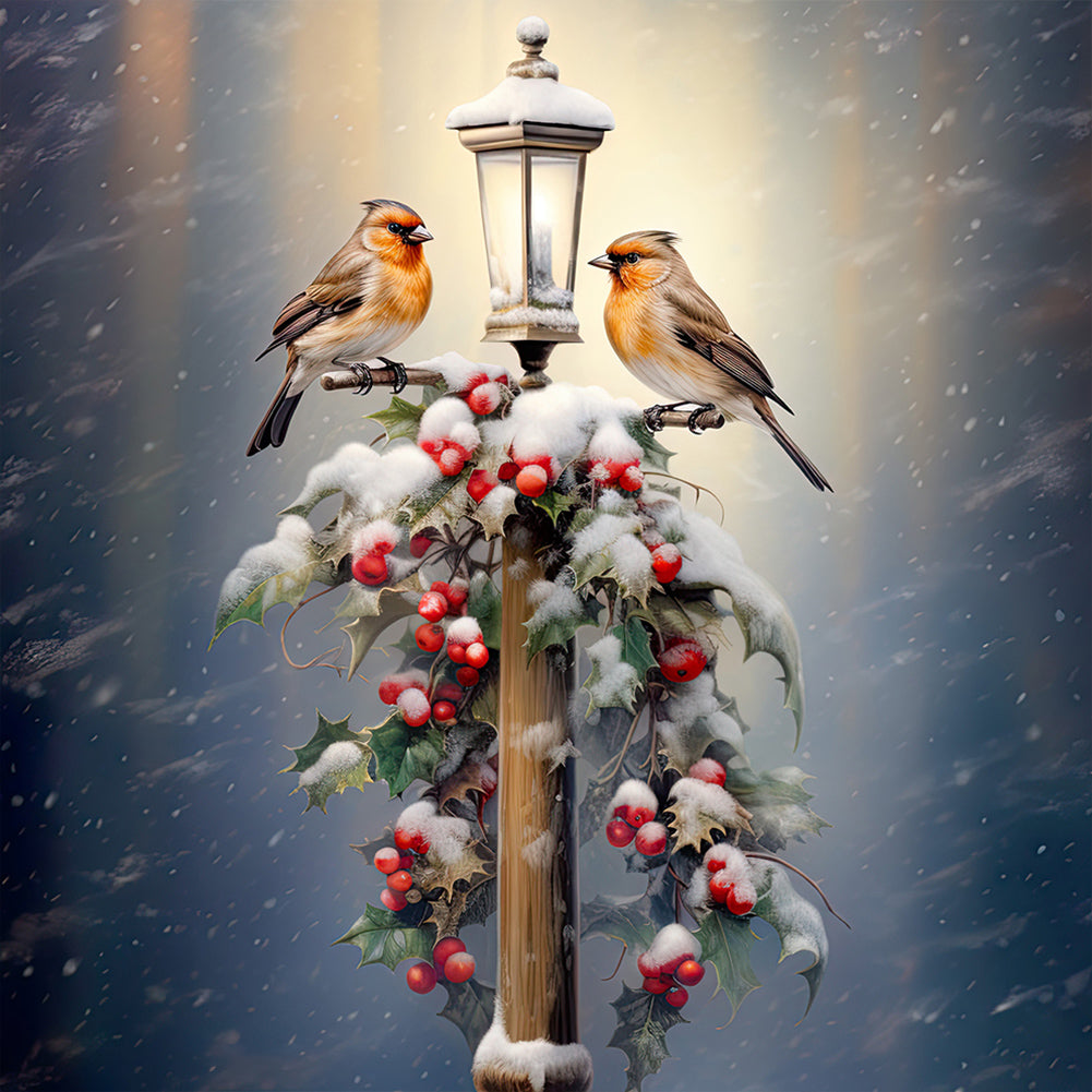 Diamond Painting - Full Round - street light bird (30*30CM)