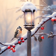 Load image into Gallery viewer, Diamond Painting - Full Round - street light bird (30*30CM)