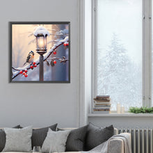 Load image into Gallery viewer, Diamond Painting - Full Round - street light bird (30*30CM)