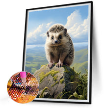 Load image into Gallery viewer, Diamond Painting - Full Round - hedgehog (30*40CM)