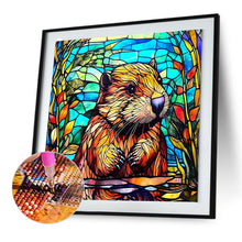 Load image into Gallery viewer, Diamond Painting - Full Round - glass painting marmot (30*30CM)
