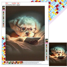 Load image into Gallery viewer, Diamond Painting - Full Square - reading puppy (30*40CM)