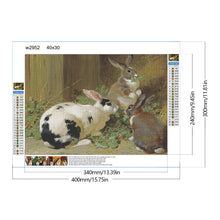 Load image into Gallery viewer, Diamond Painting - Full Round - rabbit nest (40*30CM)