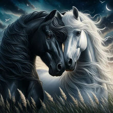 Load image into Gallery viewer, Diamond Painting - Full Round - black horse white horse (30*30CM)