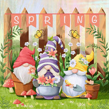 Load image into Gallery viewer, Diamond Painting - Full Round - Garden Gnome (30*30CM)