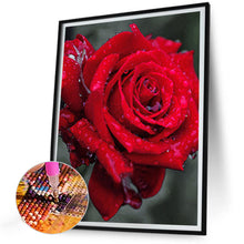 Load image into Gallery viewer, Diamond Painting - Full Round - bloom rose (30*40CM)