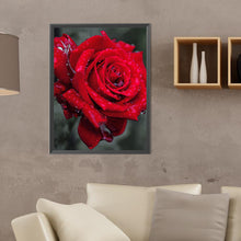 Load image into Gallery viewer, Diamond Painting - Full Round - bloom rose (30*40CM)