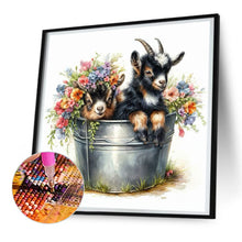 Load image into Gallery viewer, Diamond Painting - Full Round - Iron Bucket Lamb (30*30CM)