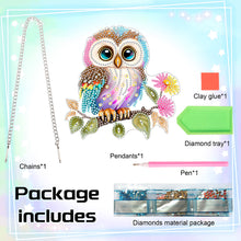 Load image into Gallery viewer, Acrylic Owl Single-Sided Diamond Painting Hanging Pendant for Home Wall Decor