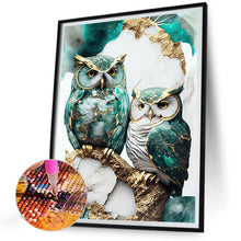 Load image into Gallery viewer, Diamond Painting - Full Round - blue and white owl (30*40CM)