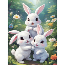 Load image into Gallery viewer, Diamond Painting - Full Round - garden rabbit (30*40CM)