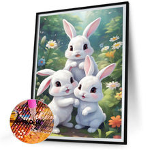 Load image into Gallery viewer, Diamond Painting - Full Round - garden rabbit (30*40CM)