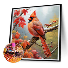Load image into Gallery viewer, Diamond Painting - Full Round - cardinal (30*30CM)