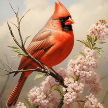 Load image into Gallery viewer, Diamond Painting - Full Round - cardinal (30*30CM)